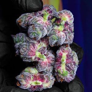 Meet your Posher, G’nean